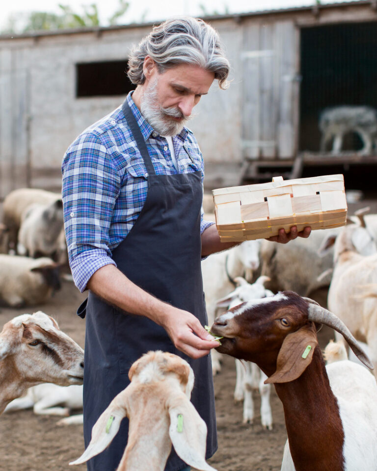 Granejro alimentando a sus animales con el Grupo Tu Ferre Agro