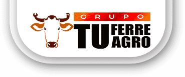 LOGO GTFA-HORIZONTAL-FULL-COLOR